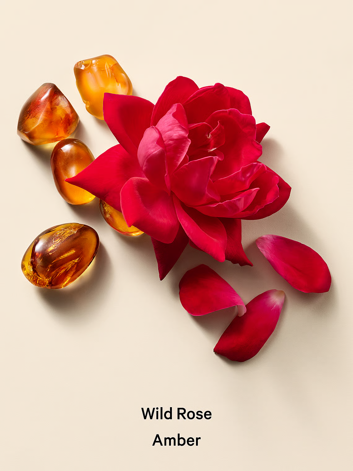 Victoria’s Secret “Wild Rose Amber” dušas želeja
