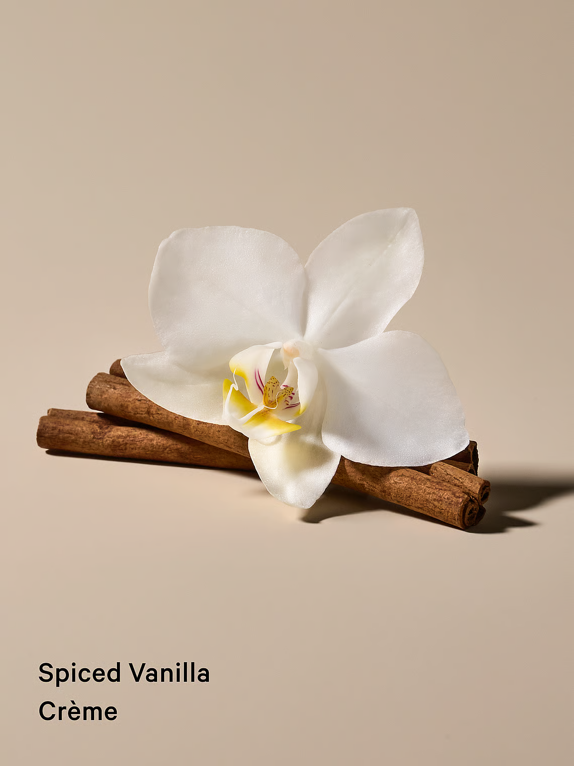 Victoria’s Secret “Spiced Vanilla Creme” ķermeņa losjons