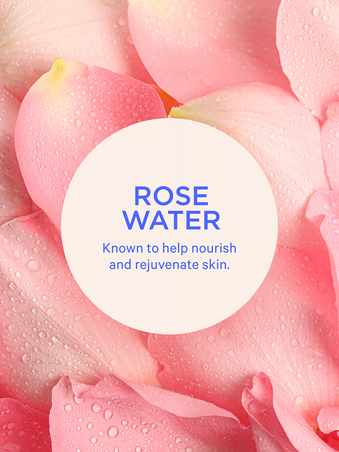 Victoria’s Secret “Wild Rose Amber” matu & ķermeņa sprejs