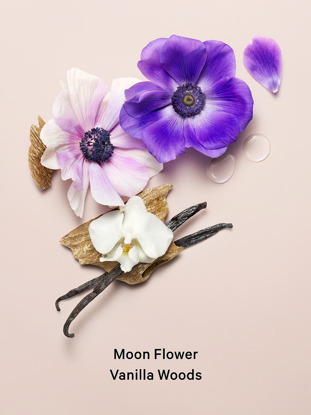 Victoria’s Secret “Midnight Bloom” ķermeņa losjons