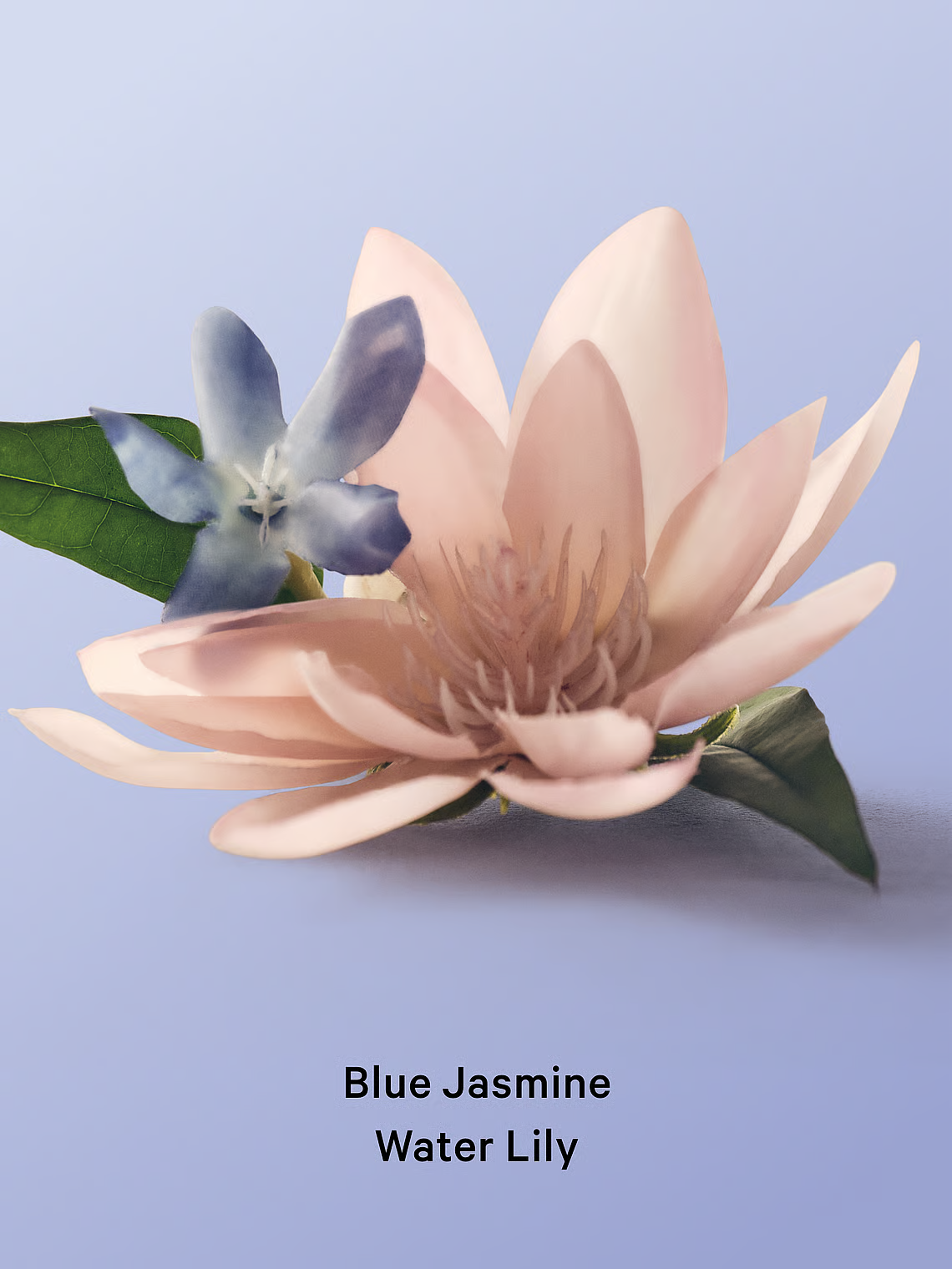 Victoria’s Secret “Blue Jasmine Water Lily” matu & ķermeņa sprejs