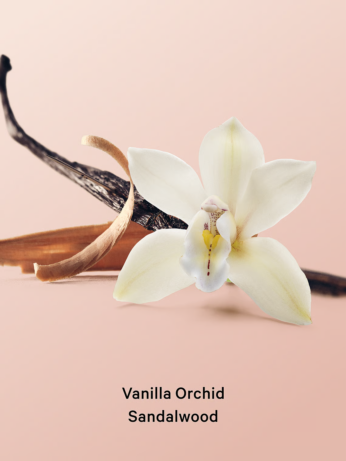 Victoria’s Secret “Vanilla Orchid Sandalwood” matu & ķermeņa sprejs